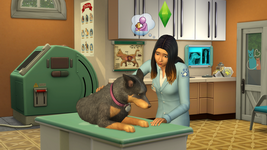 The Sims 4 Psi a mačky