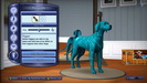 The Sims 3 Domáci maznáčikovia: Limitovaná edícia (Playstation 3, Xbox 360) - Dátový pes Pointer
