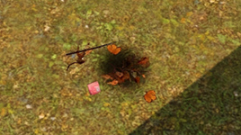 Menšia kôpka lístia v The Sims 3 Domáci maznáčikovia ako pozostatky koňom-pojedeného hrozna