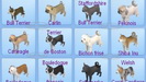 The Sims 3 Domáci maznáčikovia / Domácí mazlíčci - Plemená malých psov