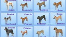 The Sims 3 Domáci maznáčikovia / Domácí mazlíčci - Plemená veľkých psov