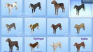 The Sims 3 Domáci maznáčikovia / Domácí mazlíčci - Plemená veľkých psov