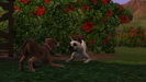 The Sims 3 Domáci maznáčikovia / Domácí mazlíčci z európskej prezentácie