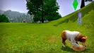 The Sims 3 Domáci maznáčikovia / Domácí mazlíčci z GamesCom 2011
