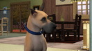 The Sims 3 Domáci maznáčikovia / Domácí mazlíčci z európskej prezentácie